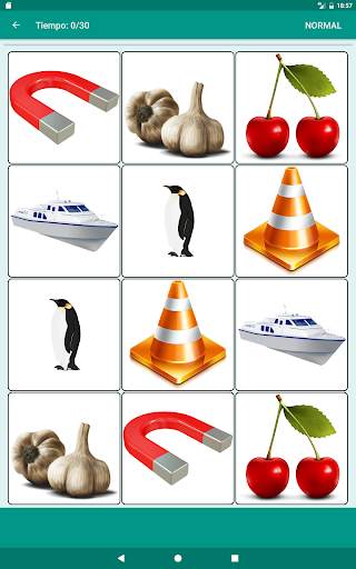 Juego de memoria Picture Match screenshot 16