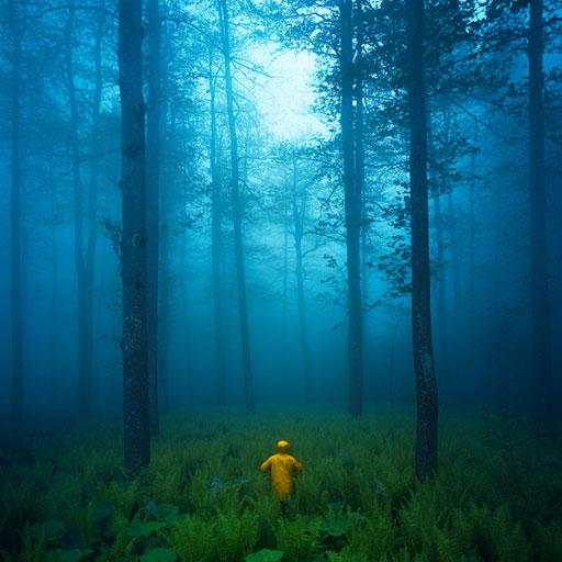 Dark Forest HD Wallpapers 1.0.2