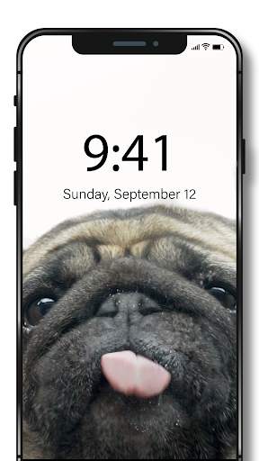 Licking Dog Screen screenshot 2