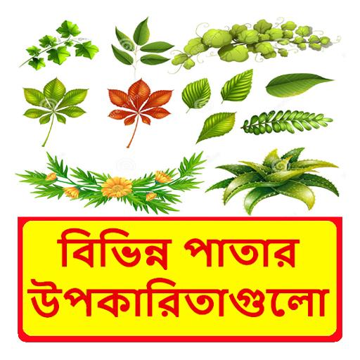 বিভিন্ন পাতার উপকারিতাগুলো ~ Benefits of Leaf icon