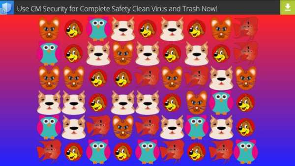 Pet Crushing screenshot 3