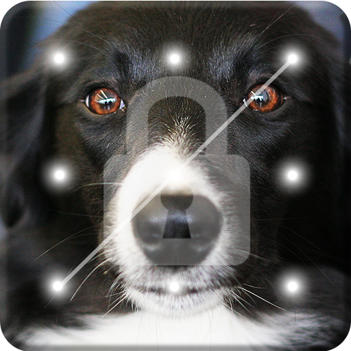 Collie Border Nice Dog Screen Lock icon