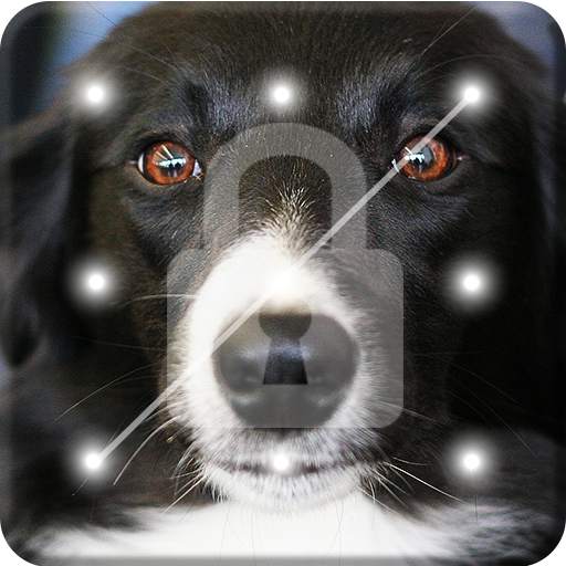 Collie Border Nice Dog Screen Lock 1.0