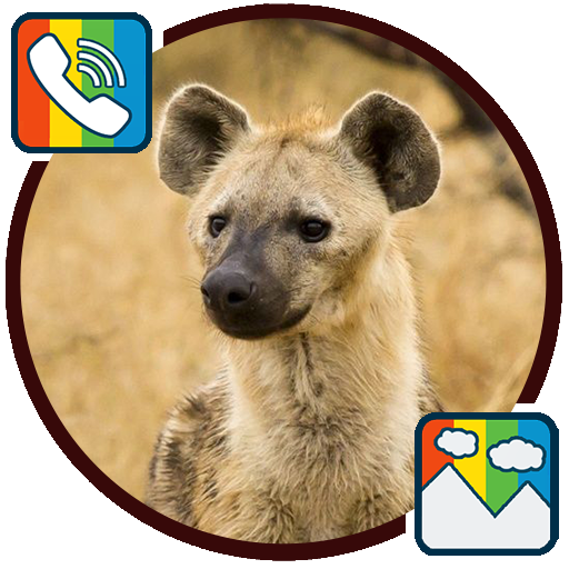 Hyena - RINGTONES and WALLPAPERS icon