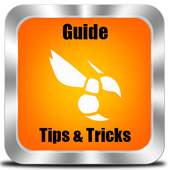 Guide Hornet Gay Social Network 1.0