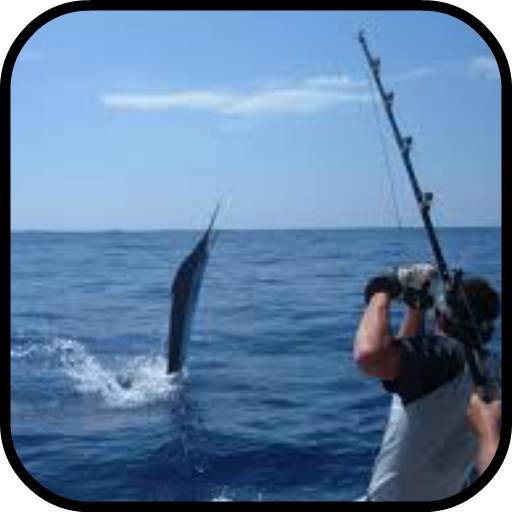Big Fish Photo Camera 1.0