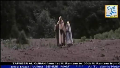 Ali TV screenshot 1