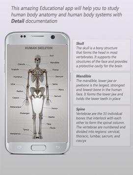Human Anatomy 3D: Male body structure screenshot 2