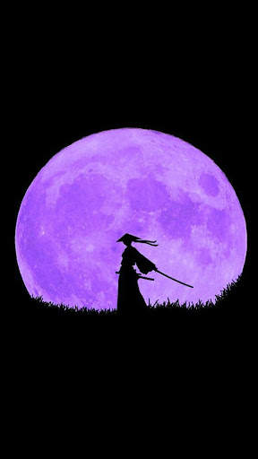 Ninja Wallpapers screenshot 3