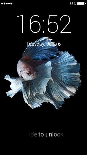 Betta Fish Lock Screen 6 تصوير الشاشة