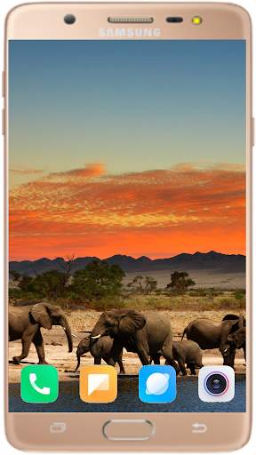 Elephant Wallpaper Best HD screenshot 7