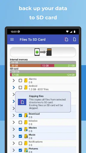 Files To SD Card or USB Drive screenshot 6