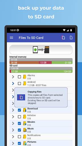 Files To SD Card or USB Drive screenshot 6