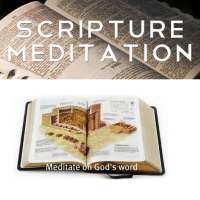 Daily Meditation Android App on 9Apps