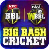 Big Bash Cricket 2.2