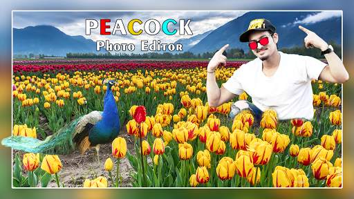 Jeweled Peacock Photo Frame screenshot 4