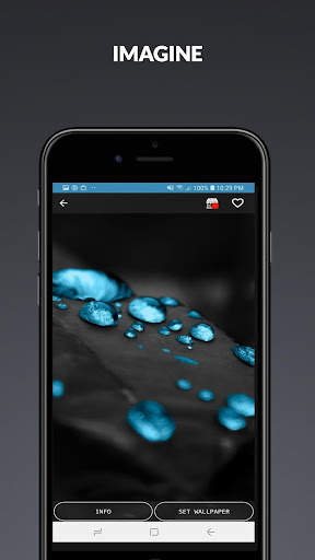 Wallpapers HD Plus screenshot 4
