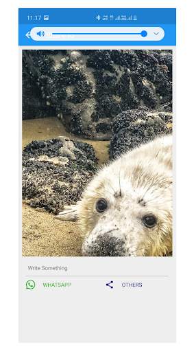 Photo Editor Free screenshot 8