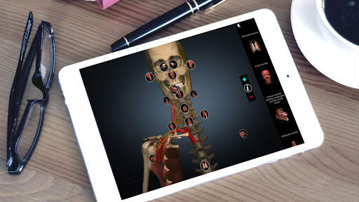 Anatomy Learning - 3D Anatomy Atlas screenshot 6