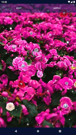 Diamond Rose Live Wallpaper screenshot 5
