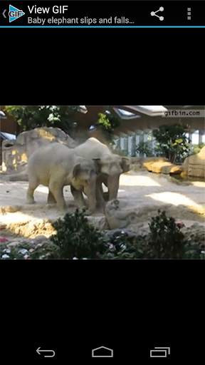 GIF Player screenshot 2