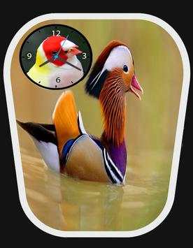 Bird clock live wallpaper screenshot 2