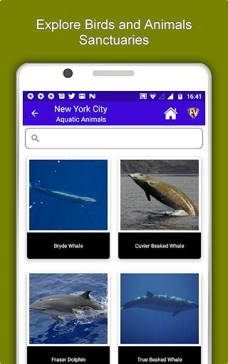 New York City Travel & Explore, Offline City Guide screenshot 13