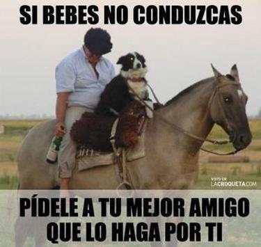 fotos; memes graciosos screenshot 3