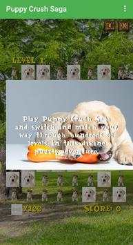 Puppy Crush Saga screenshot 2