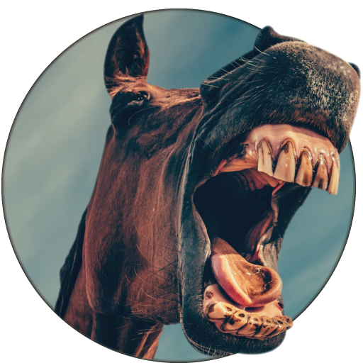 Animal Sounds icon