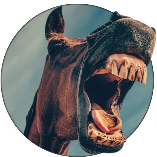 Animal Sounds 5.0