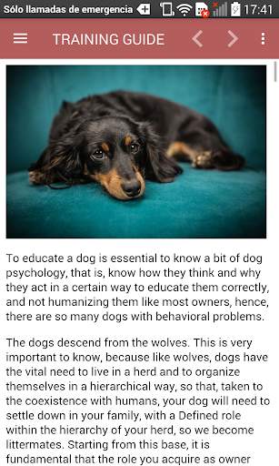Dog Training Guide Offline screenshot 4
