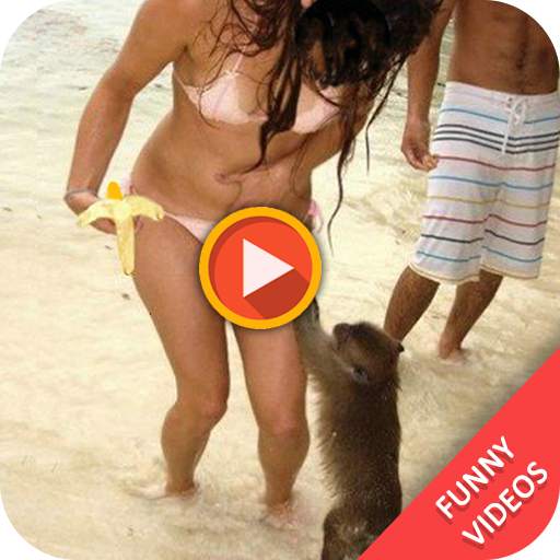 Funny Videos 1.8