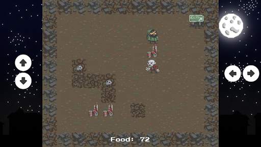 Survivor screenshot 2