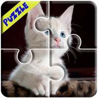 Cute Baby Cats Jigsaw Puzzle Game logo