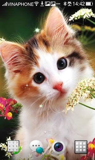 Cat Live Wallpaper HD 4K screenshot 2
