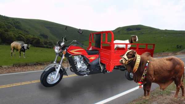 Drive Tuk Tuk Rickshaw On Impossible Track screenshot 2