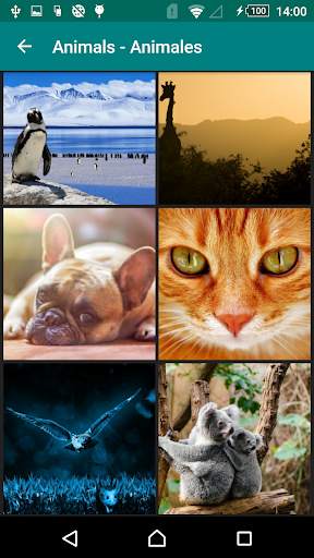 Free Wallpapers - HD Wallpapers screenshot 8