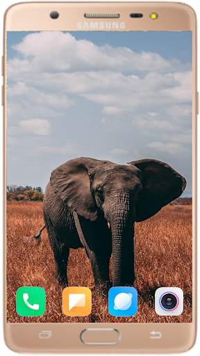 Elephant Wallpaper Best HD screenshot 13