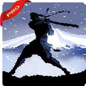 Guides Shadow fight 2 1.1.1