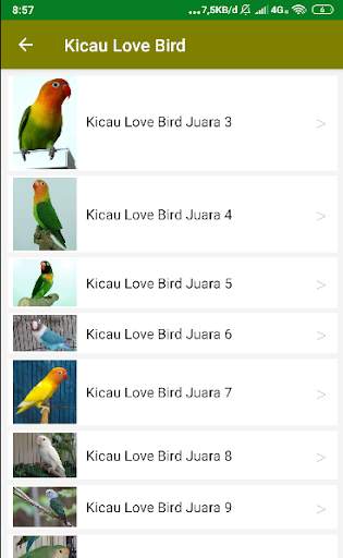 Suara Kicau Love Bird Juara Offline screenshot 4