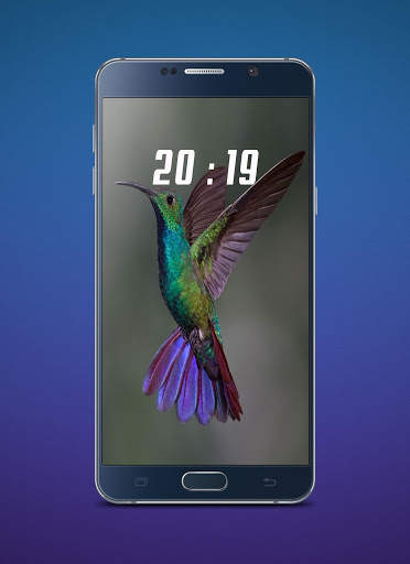 Hummingbird Wallpaper screenshot 2