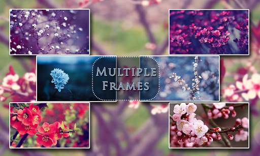 Flower Photo Frames screenshot 1