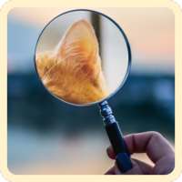 World Zoom Quiz: Close Up Pic logo