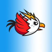 Crazy Bird icon