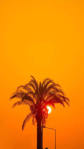 Sunset HD Wallpapers screenshot 4