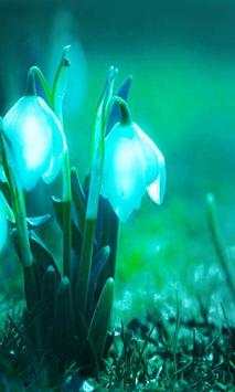 Snowdrops Live wallpaper screenshot 1
