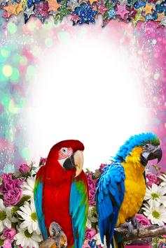 Macaw Birds Photo Frames screenshot 7