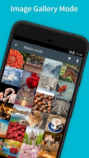 Cube Browser (Ads Blocking, Batch photo download) screenshot 3