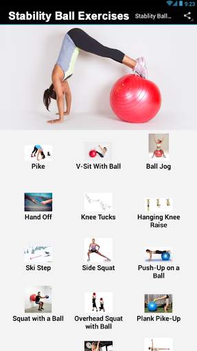Stability Ball Exercises screenshot 2
